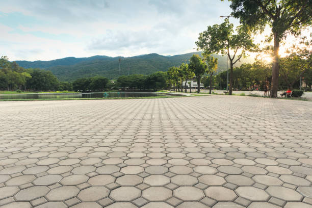 Best Local Driveway Pavers  in Coldstream, OH